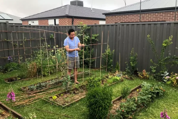 Common-Problems-with-Backyard-Gardening1.webp